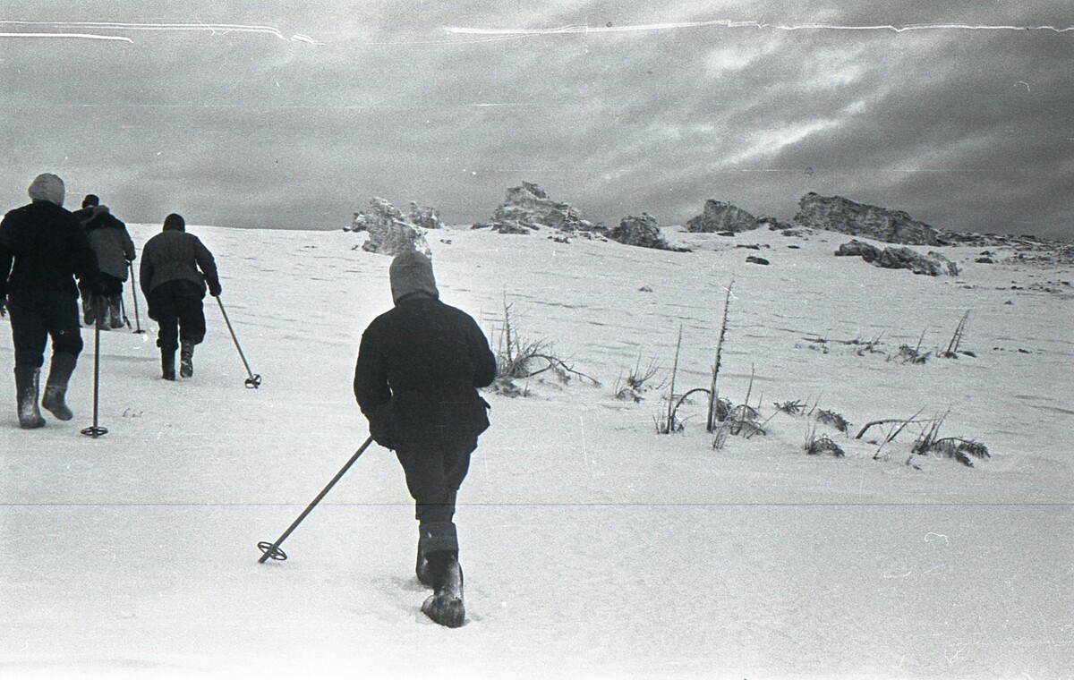 Из открытого доступа. 