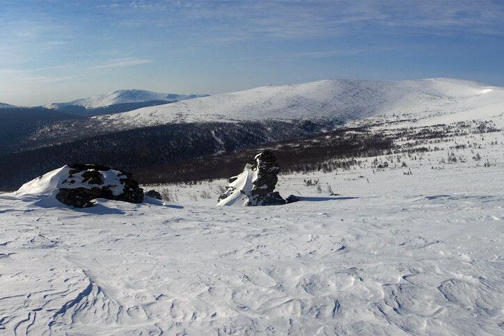 Хорошо видно, что растительность заканчивается задолго до перевала. Из открытого доступа.
