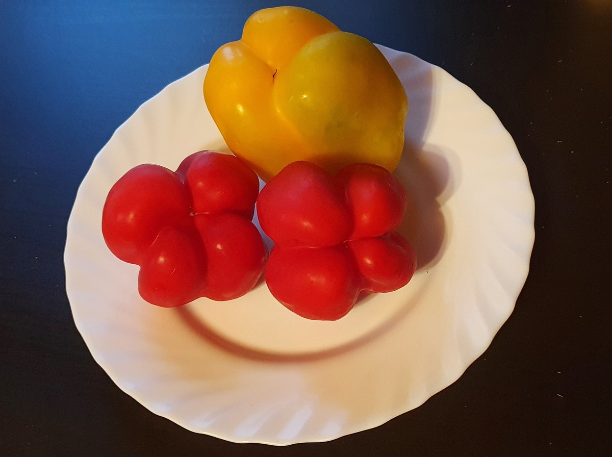 Полезные овощи. Фото автора.