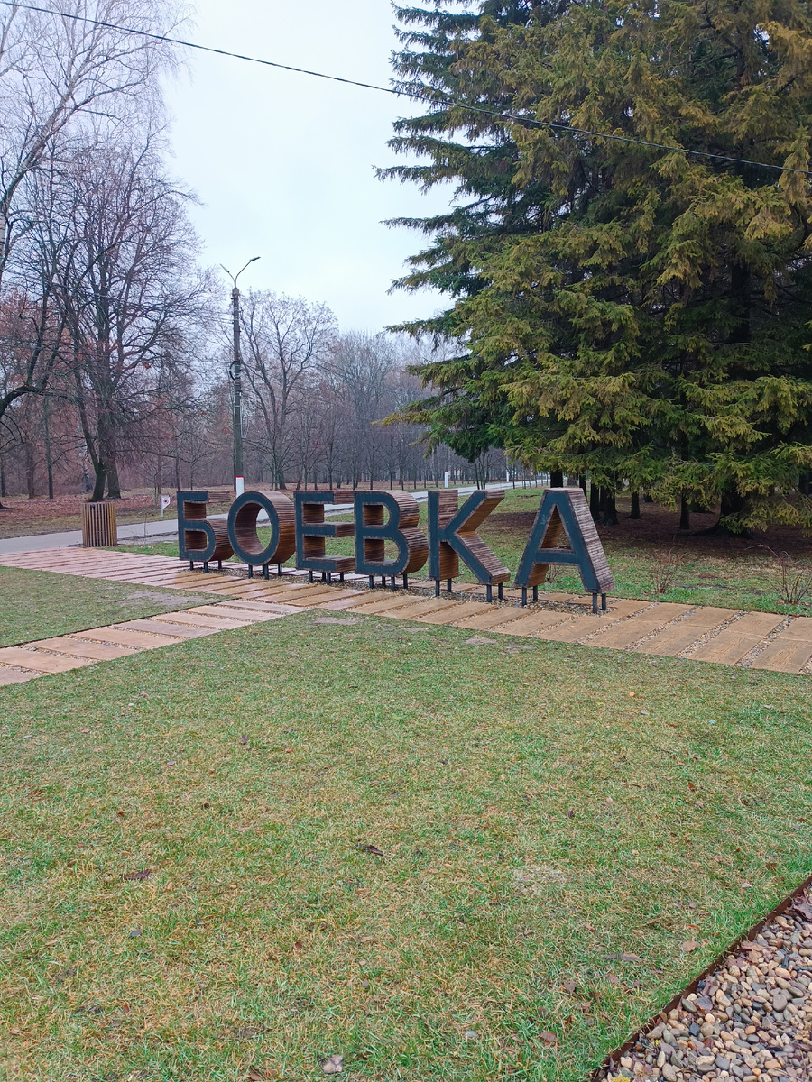 Фото автора, январь 2025 года