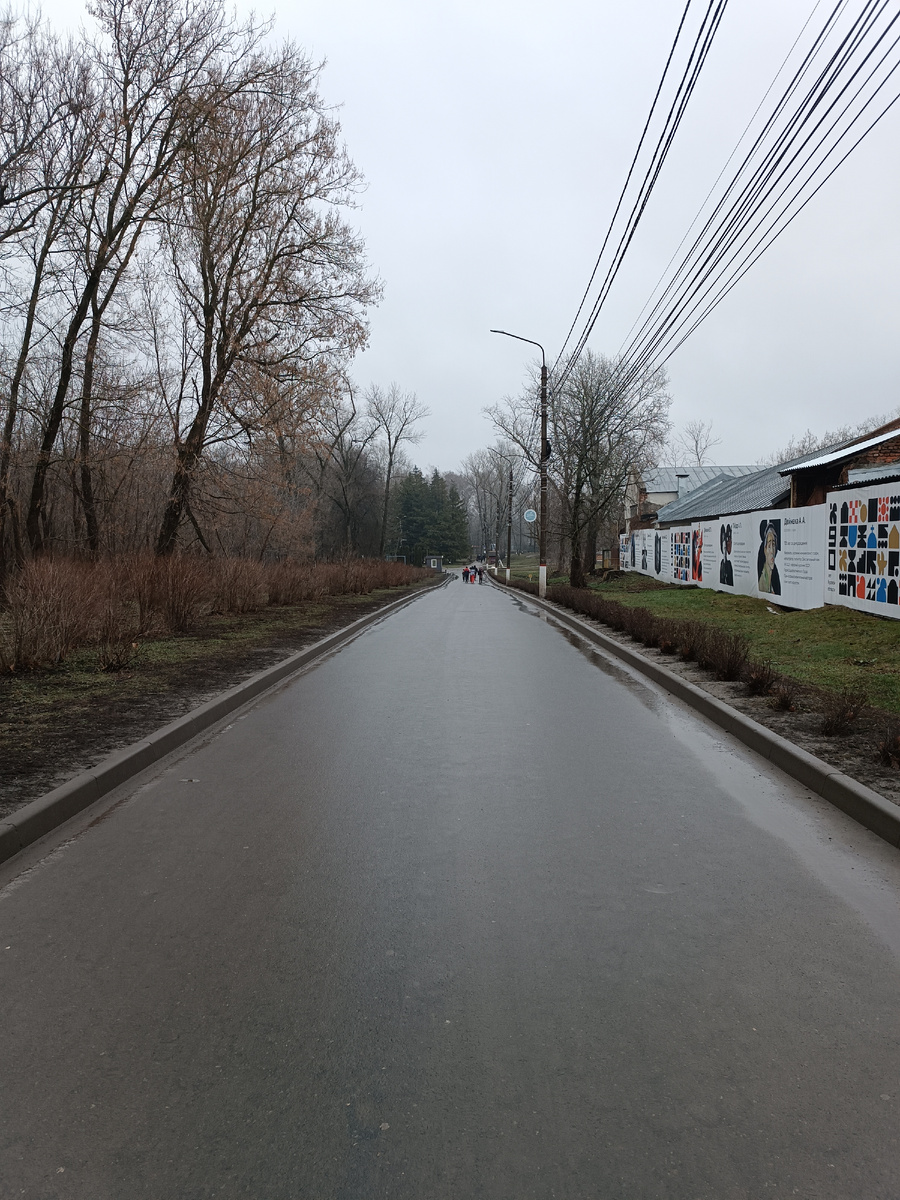 Фото автора, январь 2025 года 