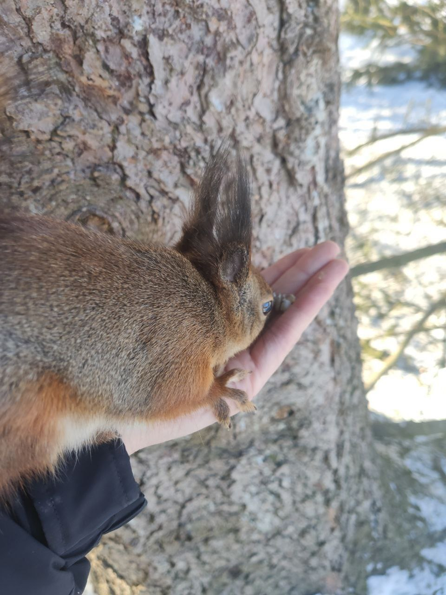 Кто не работает – тот ест.