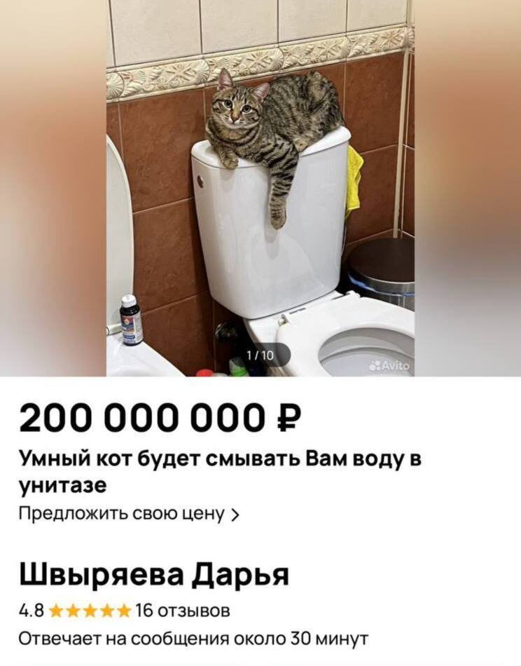  Соцсети