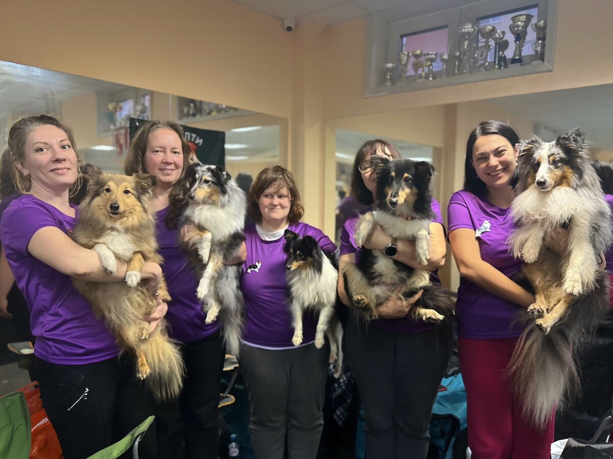 Команда шелти 🐾💪