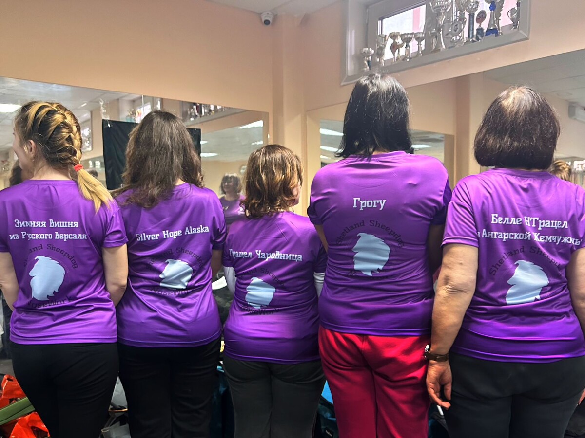 Наши футболки сзади 