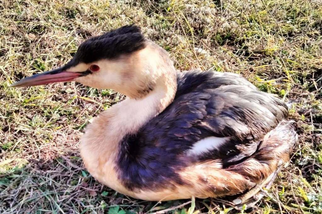    photo_2025-01-10_09-56-50