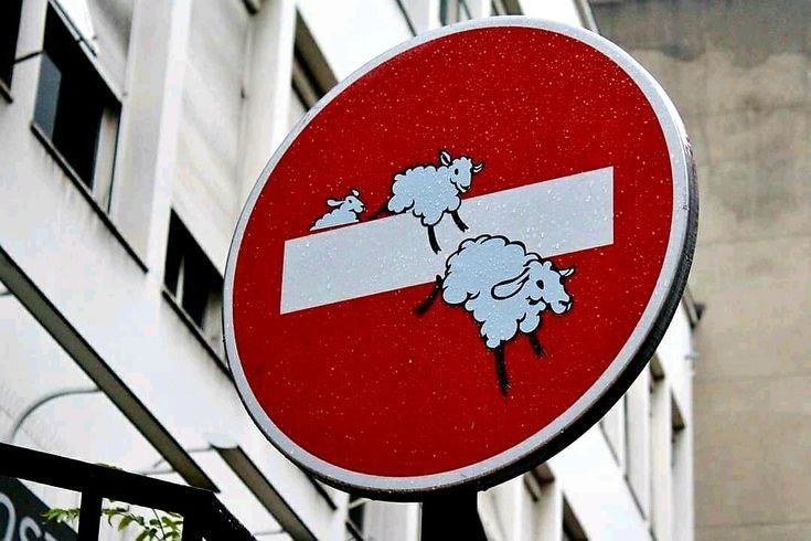 из поиска Яндекса