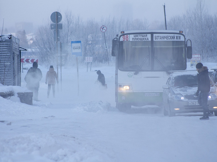 Погода в новосибирске сегодня. Прогноз погоды на февраль 2022 фото. Погода в новосибирске. Погода в новосибирске в феврале. Погода в новосибирске в феврале.
