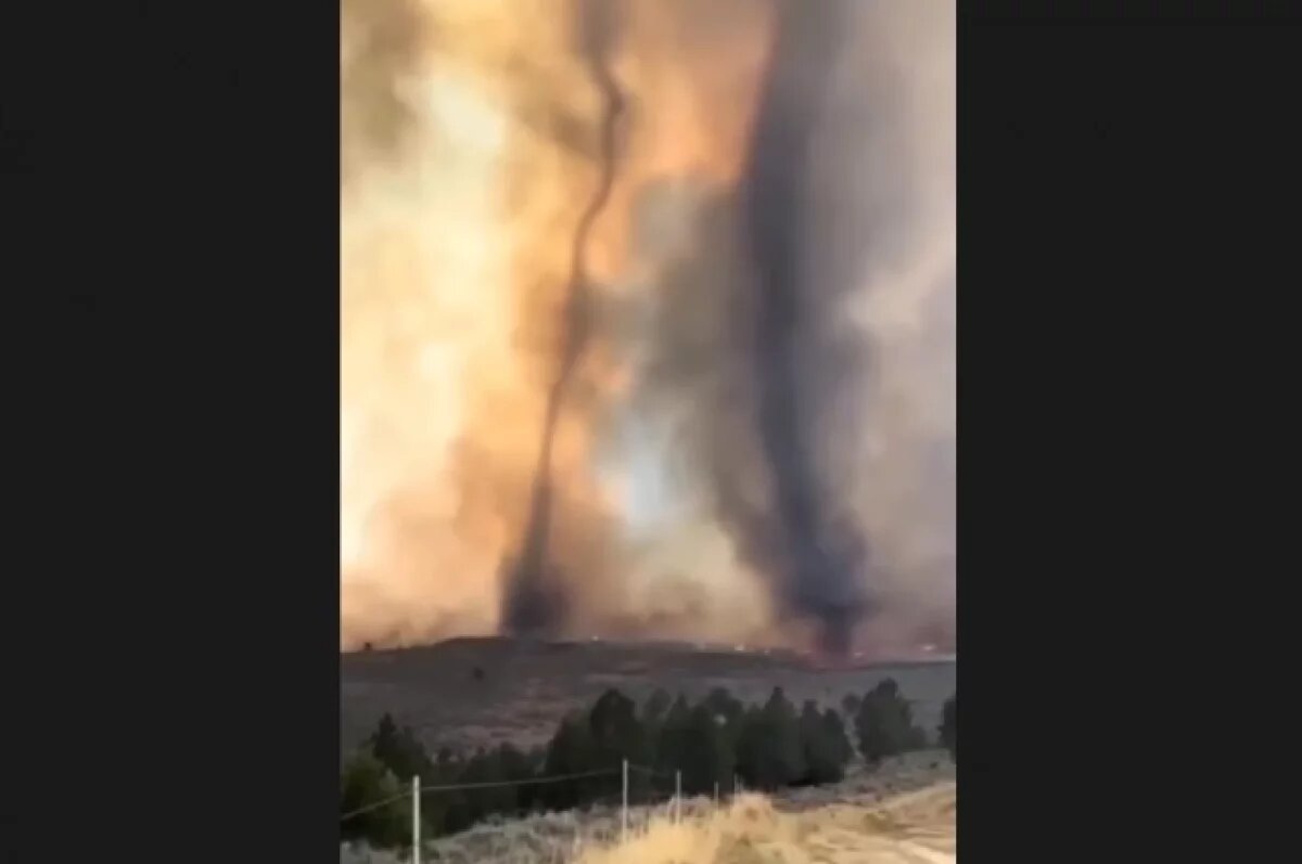    В Калифорнии из-за лесных пожаров образовались огненные смерчи