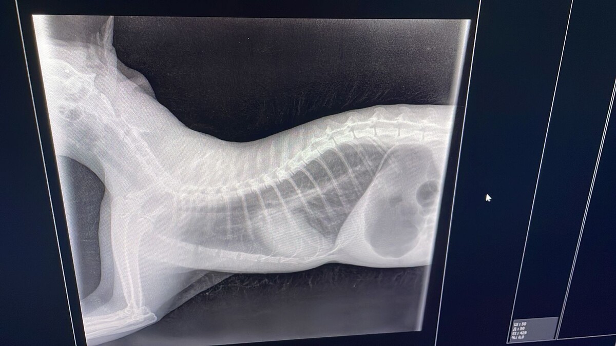 первый снимок 03.01.25