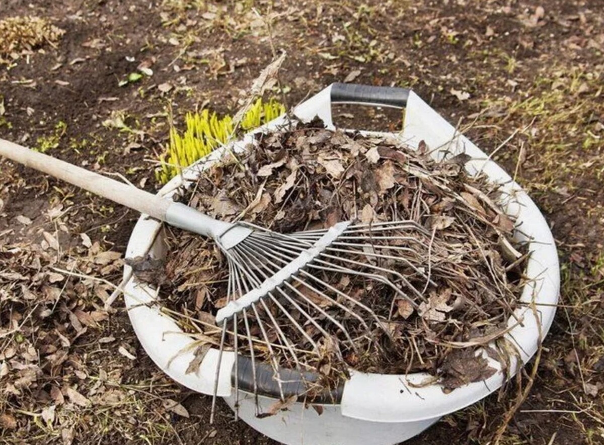 очистка участка от листьев и старых веток