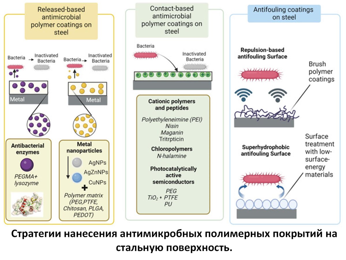 Источник изображения: https://pubmed.ncbi.nlm.nih.gov/ 