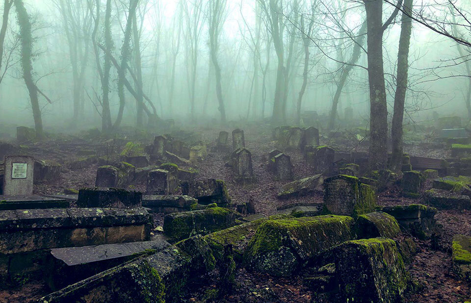 Яндекс.Картинки