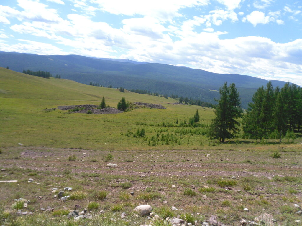 Из бескрайней сети Интернет. 