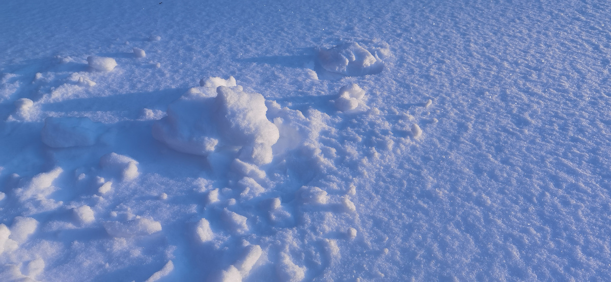 Волшебный январский снег