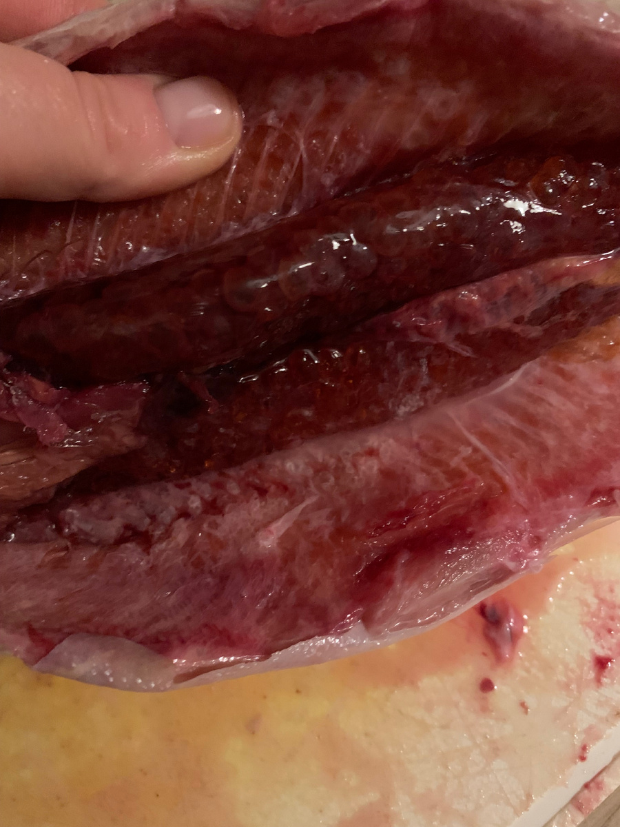 Фото автора канала