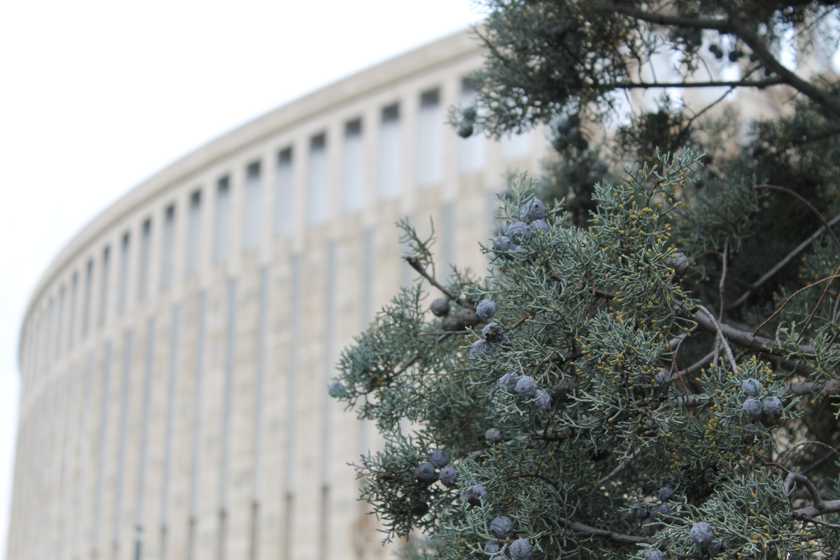 Вид на стадион Краснодар.