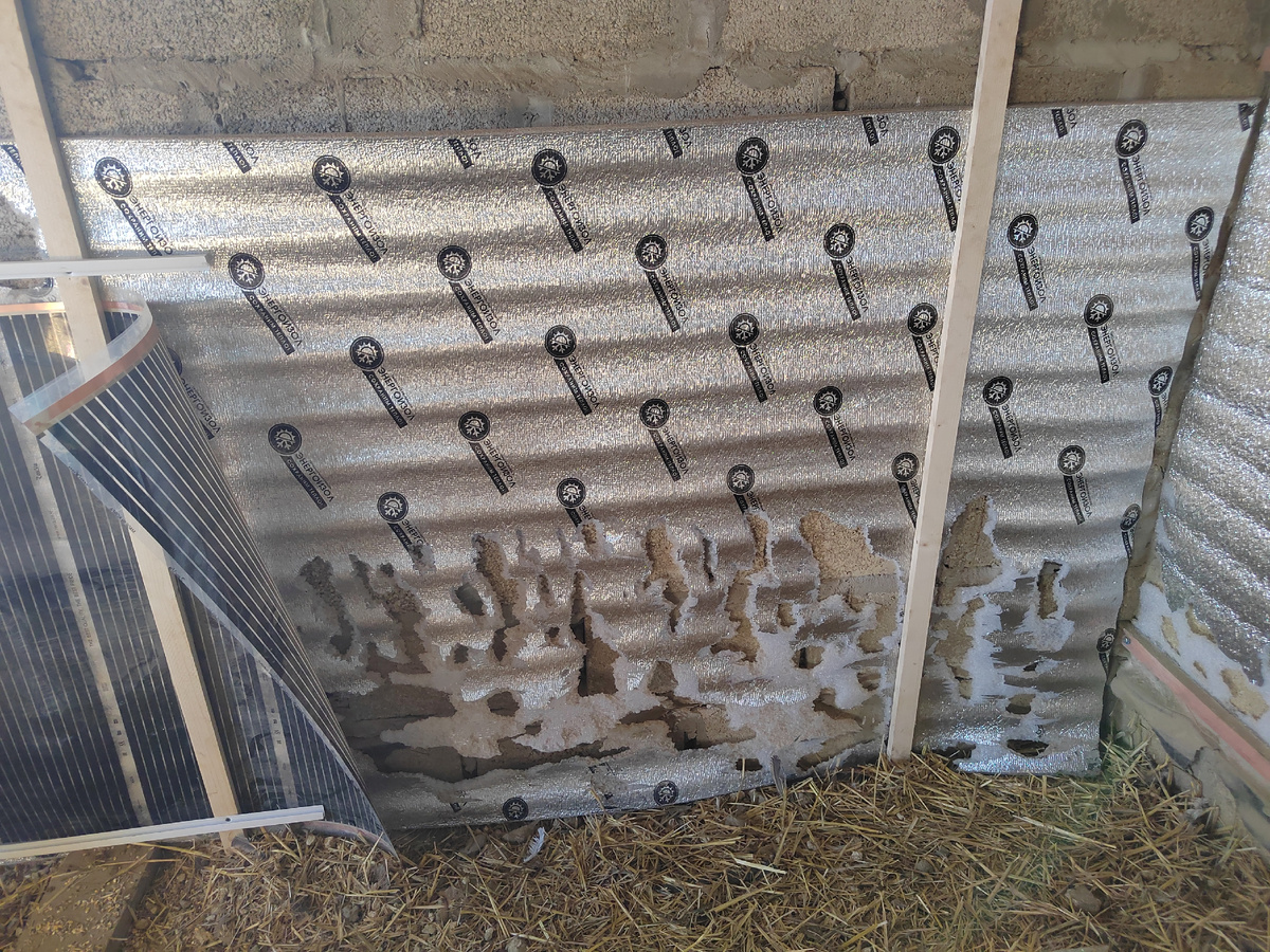 Куры ободрали, постарались... Нечего было мешкать))))