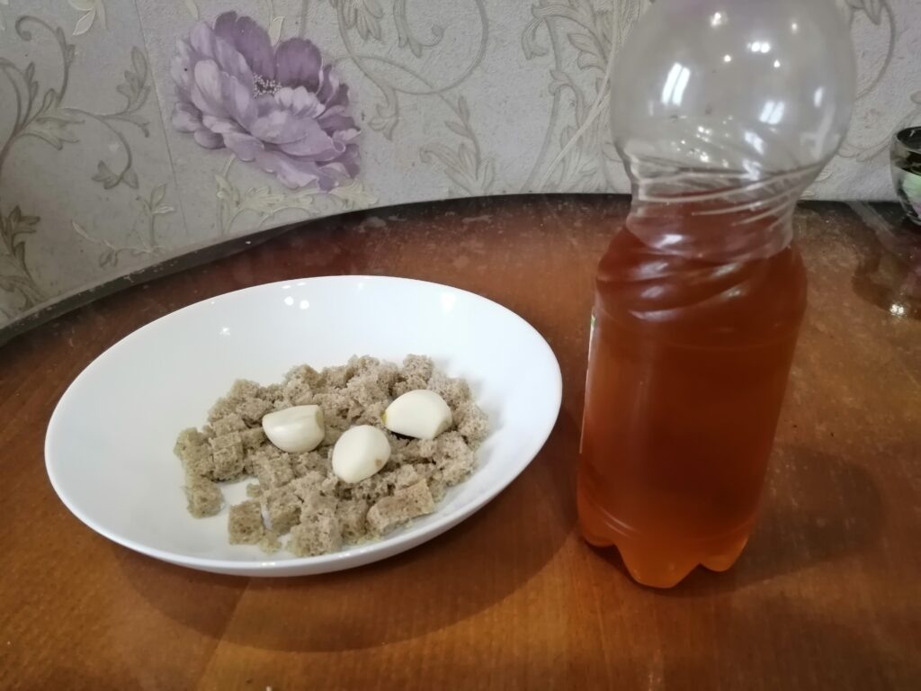 Состав прикормки, хлеб, чеснок, растительное масло(на фото пример индигриентов).