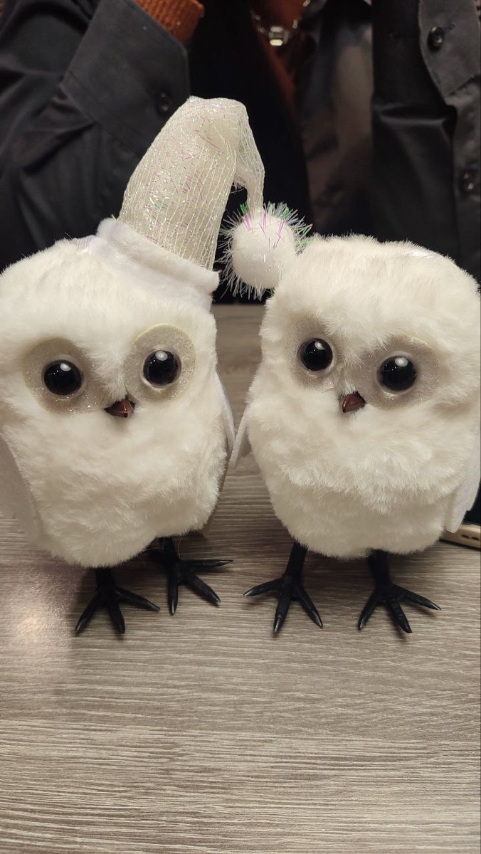 Купила совушек в Материке