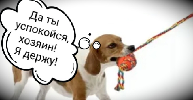 Виси спокойно! Че дергаешься?!