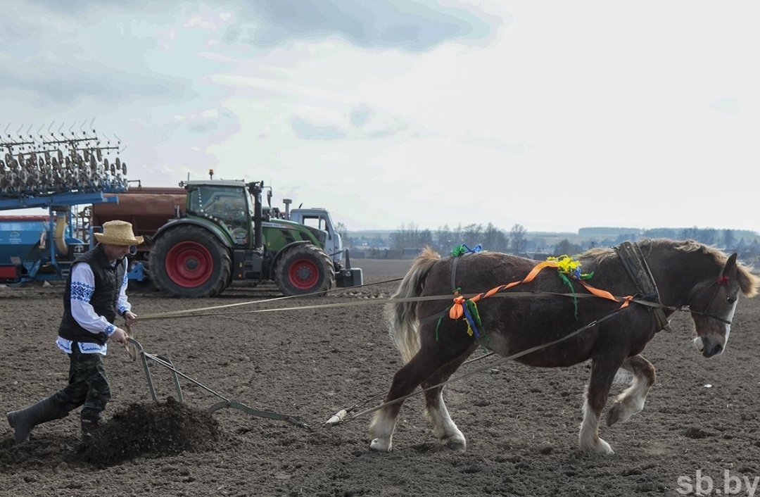 Фото автора "Везёт тому, кто везёт"