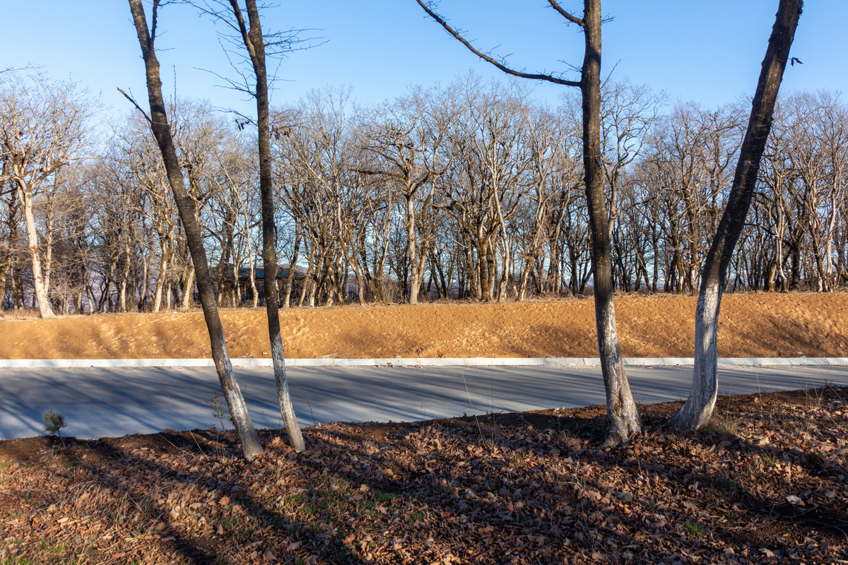 По дороге в Шемаху