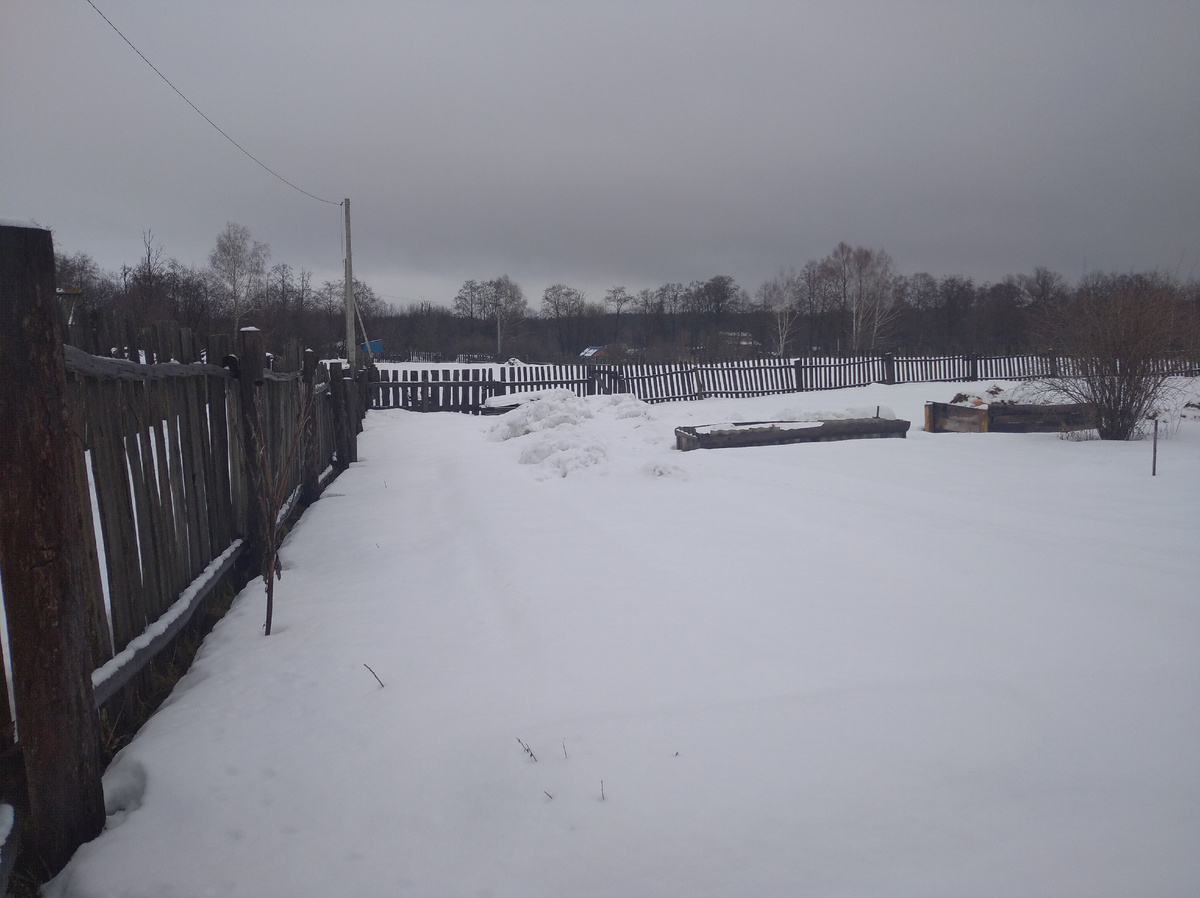 Сыро и хмуро. Снега нет, забор не укутан
