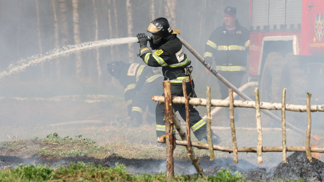    фото: Petrov Sergey/news.ru