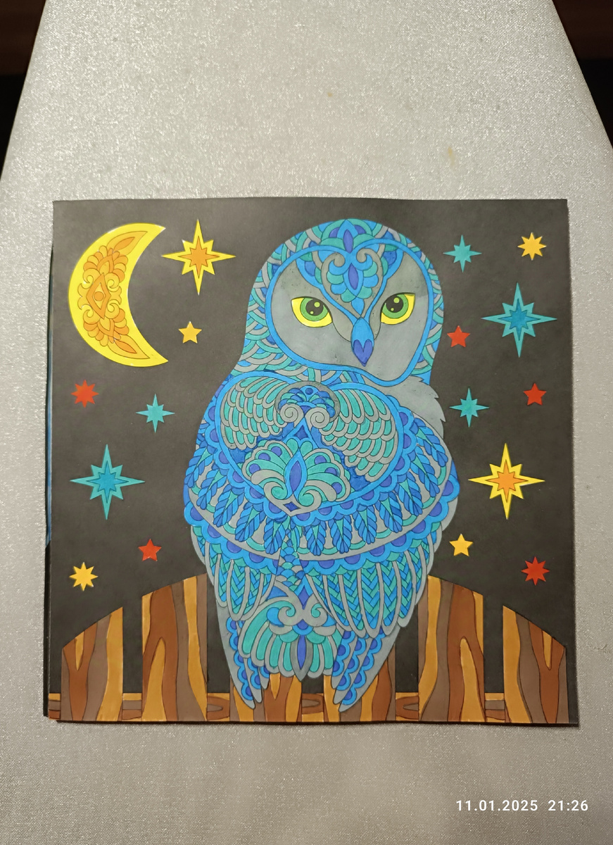 Почему сова такого цвета? Я художник, я так вижу 😁