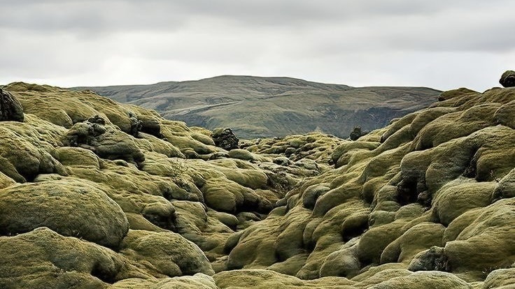 Источник фото — https://pin.it/4K7OLYQKz