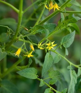 Фото из архива