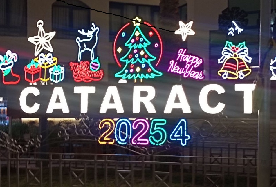 Отель "Катаракт" так изобразил смену номера года) Фото из личного архива