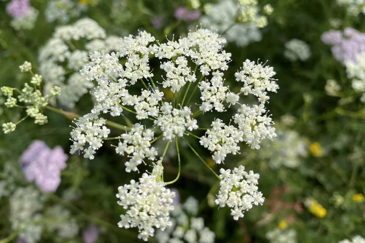 Фото: UfaTime.ru