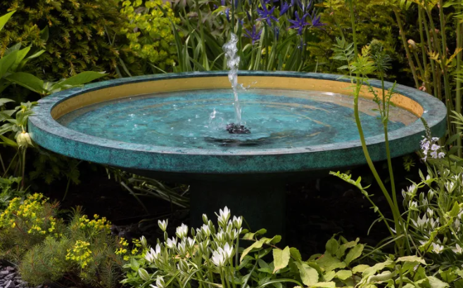 Фото Ли Клэпп