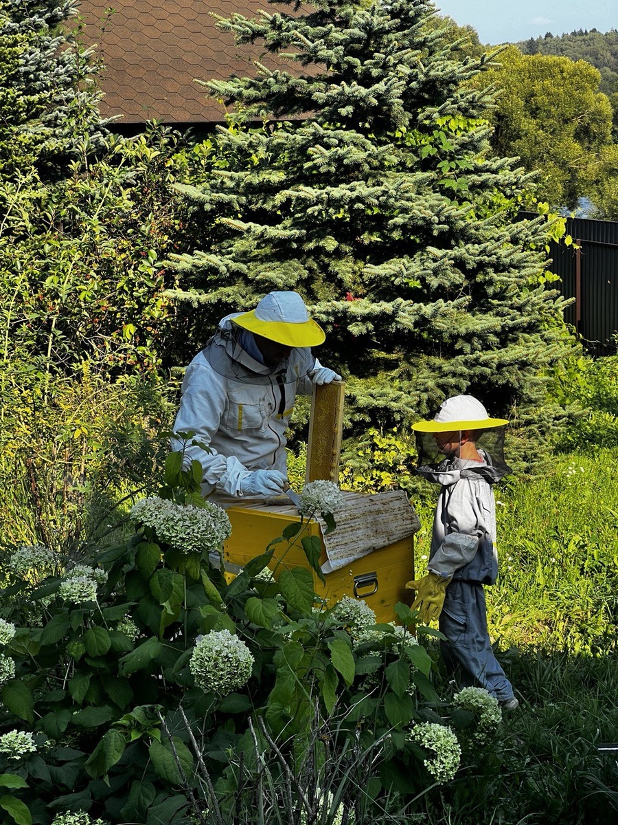 Семейная пасека Кулешовых 