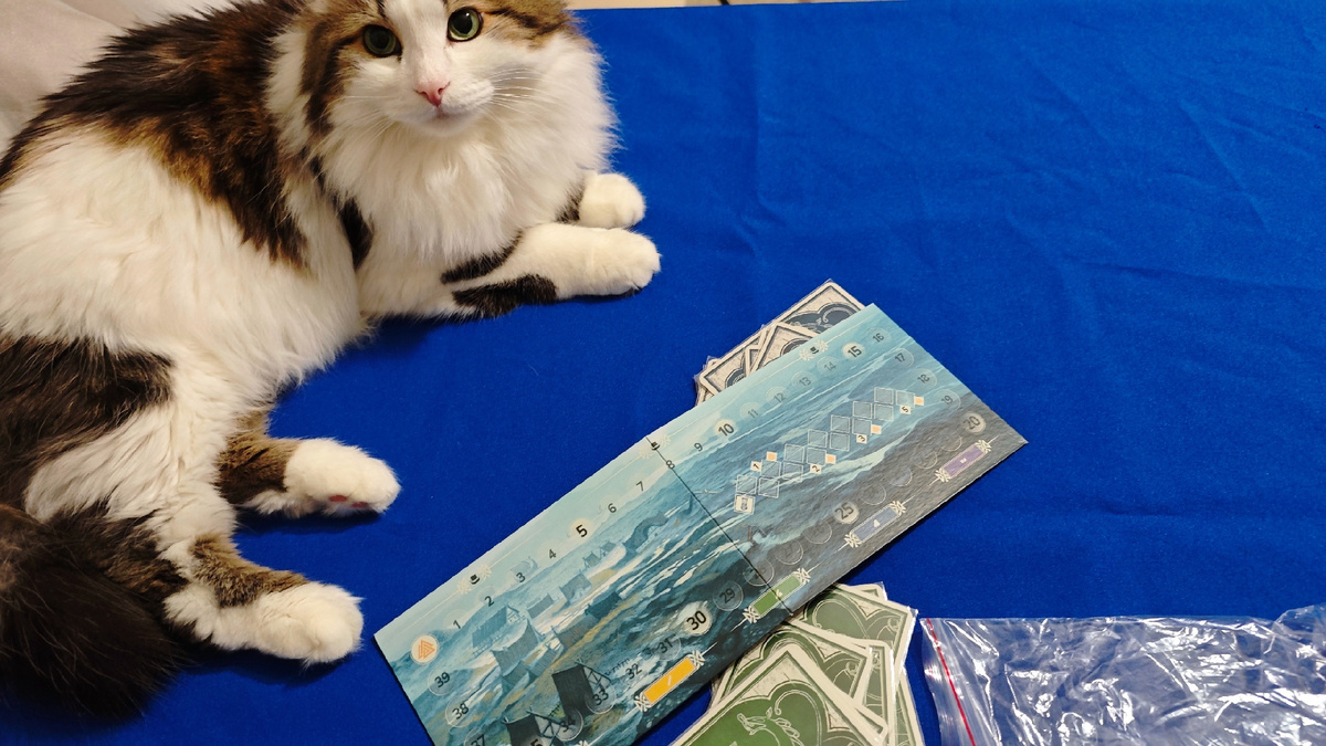 кнорр настольная игра, карточная игра, игра про викингов, игра на победные очки, фабрика игр