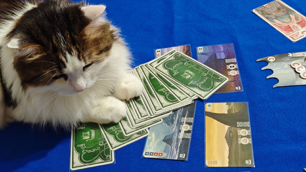 кнорр настольная игра, карточная игра, игра про викингов, игра на победные очки, фабрика игр