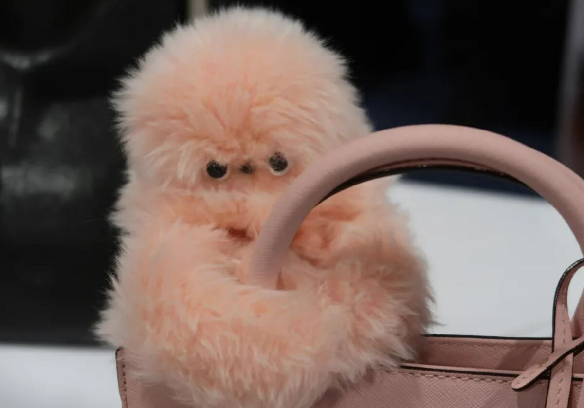 Фото: Cheyenne MacDonald/Engadget  📷
