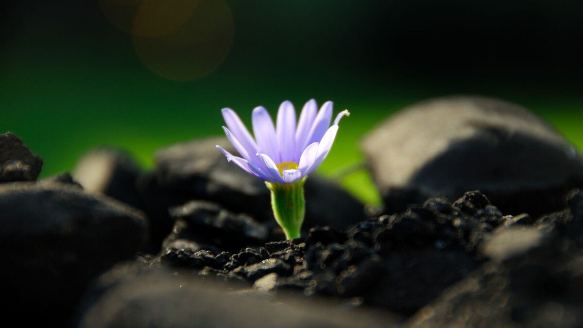 Сделайте паузу для судьбоносного выбора: какие перемены ждут вас? 