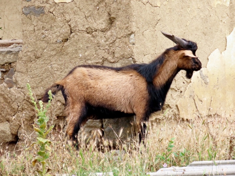 Фото канал в Anna Seton 