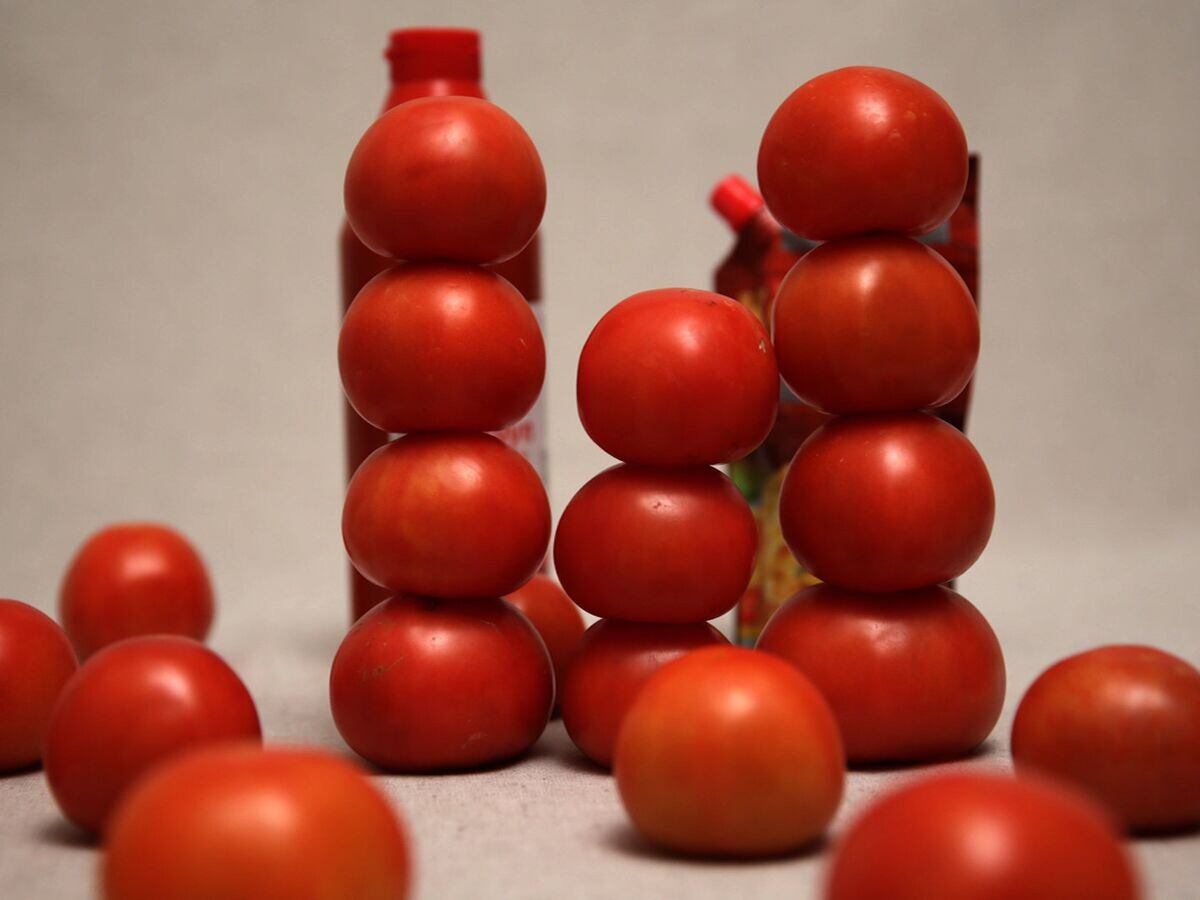    # томаты© РИА Новости/Аврора . Марина Спирина, Игорь Белогуров