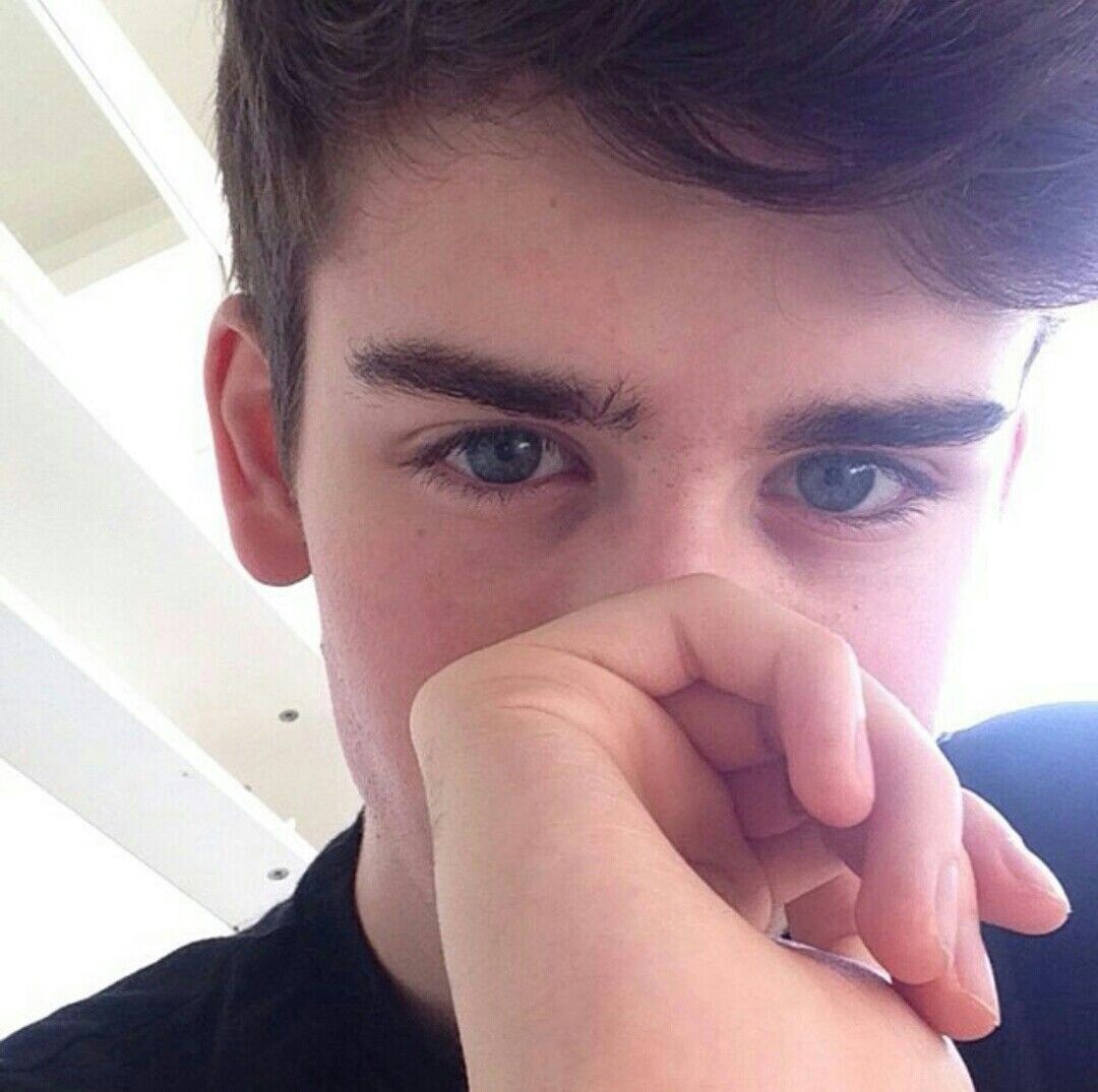 Фото из открытого источника Яндекс 