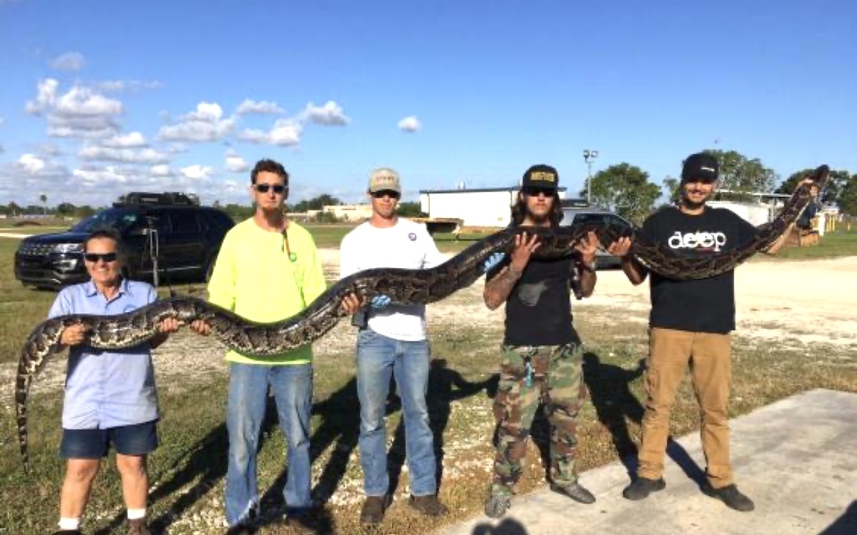 Фото взято из открытых источников в Интернете