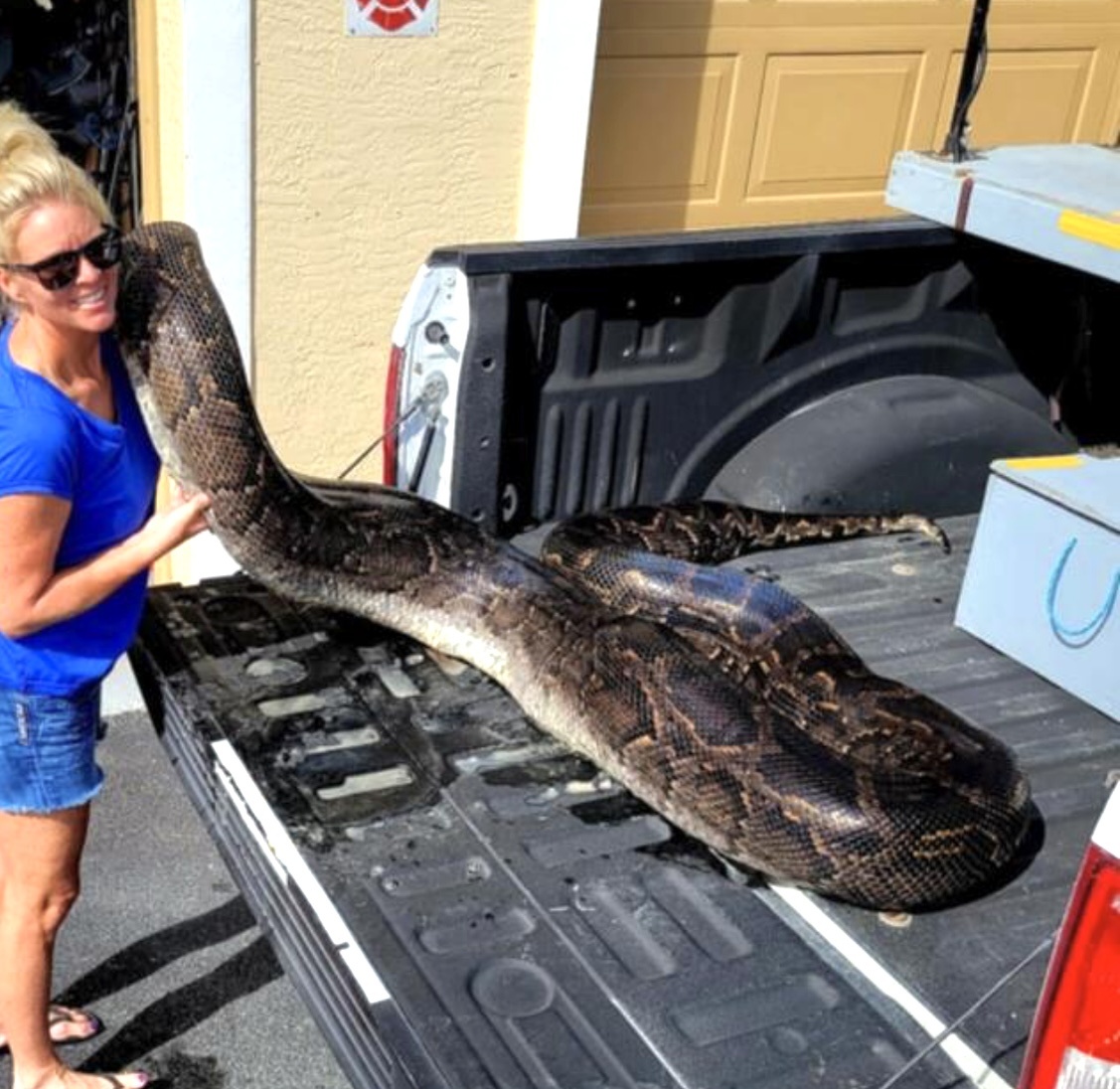 Фото взято из открытых источников в Интернете