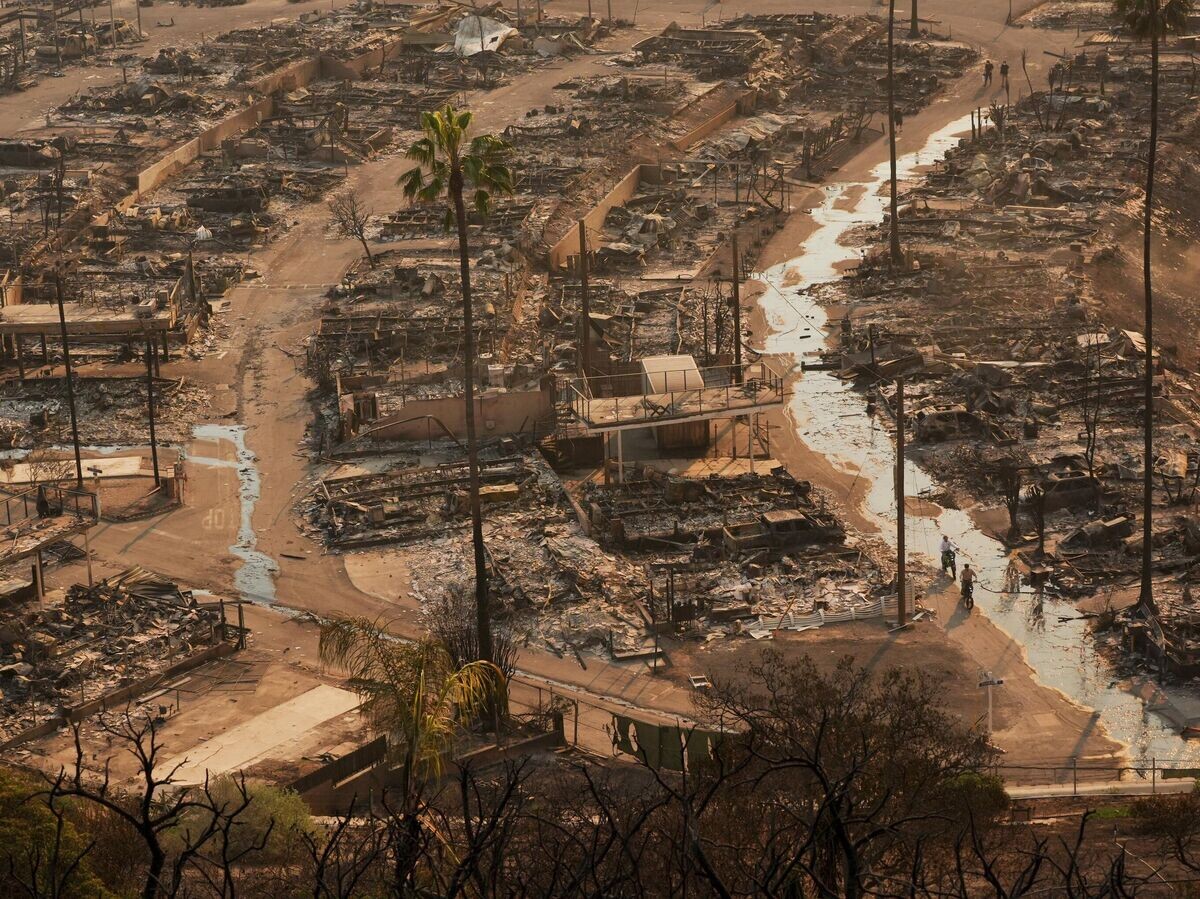    Сгоревшие дома в Лос-Анджелесе© AP Photo / Jae C. Hong