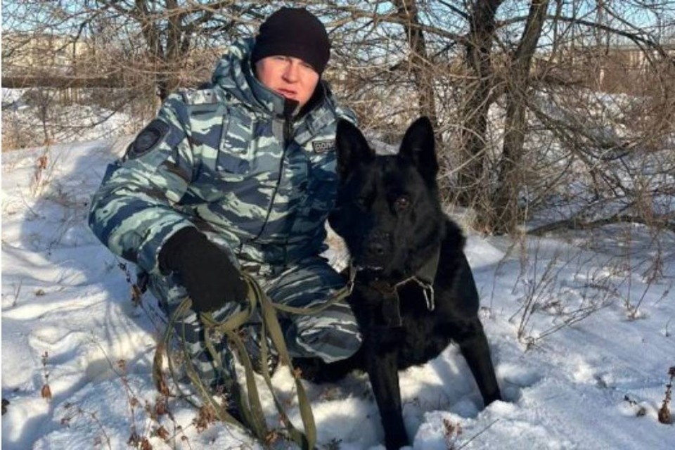    Пес Айк и кинолог Андрей Печерских. Фото: ГУ МВД России по Забайкальскому краю.