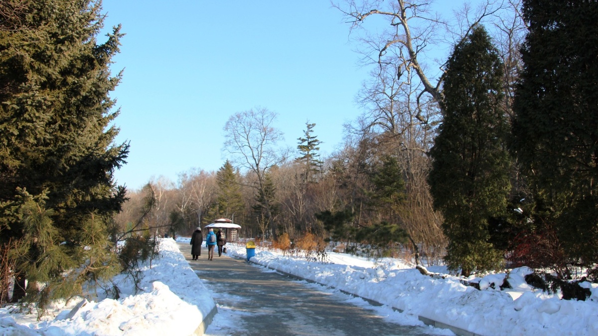     Источник: 1MI