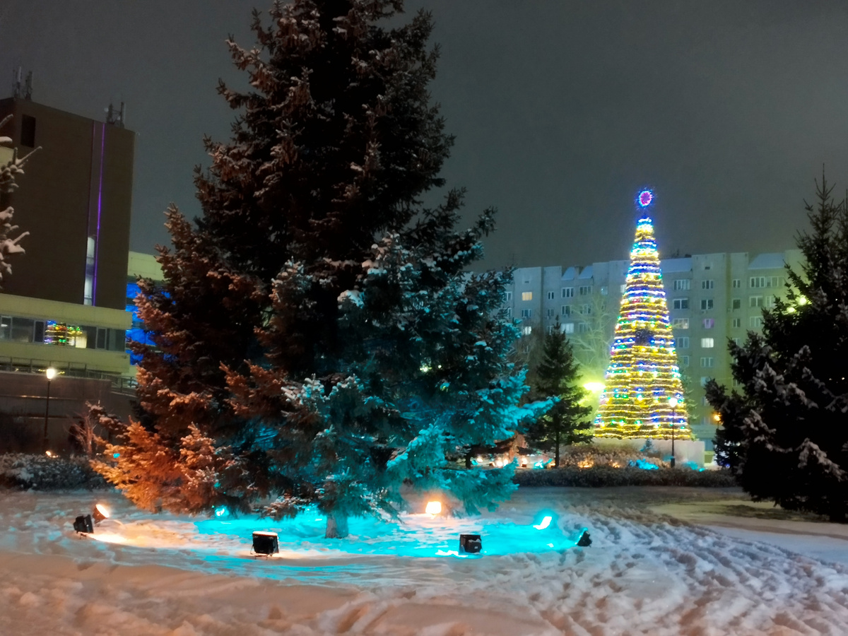 Красноярск. Ёлки у Большого концертного зала. Фото автора