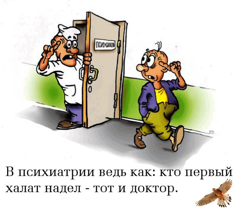 Фото из открытых источников интернета 